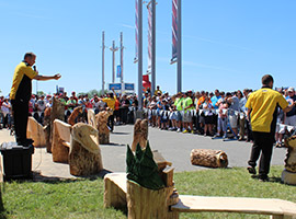 Live Chainsaw Carving Auction
