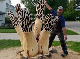 Large Mushroom Chainsaw Stump Carving