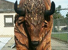 Joe Stebbing's Buffalo Tree Trunk Carving