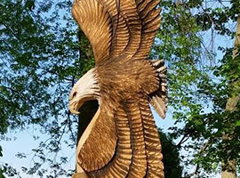 Eagles Wings Tree Stump Carving