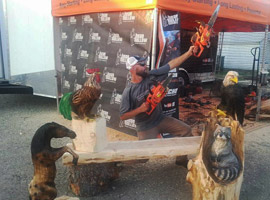 Chainsaw Carving Wooden Bench
