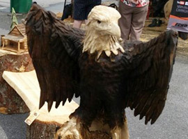 Eagle and Bench Wood Chainsaw Carving